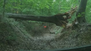 Riding JD Gator around farm checking for downed trees [upl. by Eyaf434]