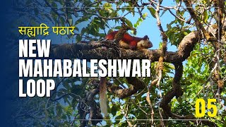 New Mahabaleshwar loop  Sahyadri Plateaus  Ep 05 [upl. by Marou]