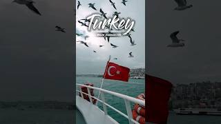 Discover Turkey in 50 Seconds 🇹🇷 Quick Tour istanbul viralvideo shorts [upl. by Nomla]