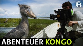 Abenteuer Kongo ‒ Das MakingOf  Erlebnis Erde [upl. by Arobed827]