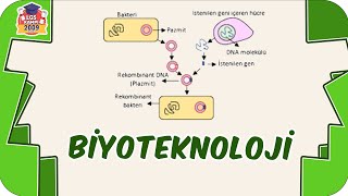 Biyoteknoloji Genetik Mühendisliği 🧬 8Sınıf Fen 2023LGS [upl. by Arais]