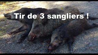 Une matinée INCROYABLE  Chasse sanglier Ardèche 2015 [upl. by Webber]