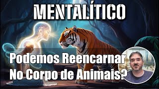 Podemos Encarnar no Corpo de Animais espiritismo reencarnacao espiritualidade [upl. by Alohcin]