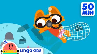 ACTION SONGS FOR KIDS 🙌🎶 Nursery Rhymes  Lingokids [upl. by Adiaj]