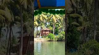 Gokarna Mangroves 🛶⛵️Gokarna weekendvibes bunuvlogs7076 youtubeshorts [upl. by Ydoc]