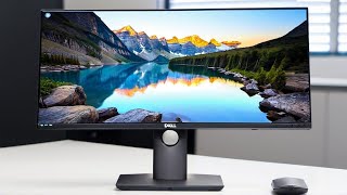 Best Dell Monitors 2024 1 Will Surprise You [upl. by Osborn247]