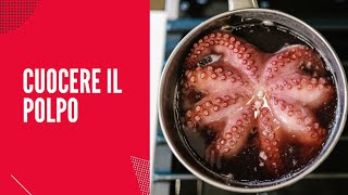 Buono anche surgelato  CUOCERE IL POLPO  cook the octopus [upl. by Norej20]