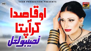 Naseebo Lal  O Qasida Kar Aa Pata  Marziyan Wala Dhola  Album 11 [upl. by Cj]