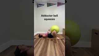 Adductor squeeze with physio ball [upl. by Joacima206]