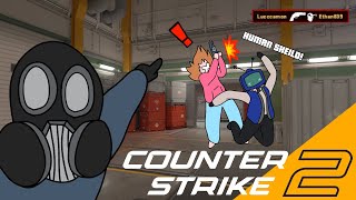 Counter Productive 2 CS2s BEST Operatives [upl. by Eentroc]