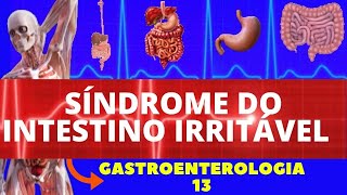 SÍNDROME DO INTESTINO IRRITÁVEL CAUSAS SINTOMAS DIAGNÓSTICO E TRATAMENTO  GASTROENTEROLOGIA [upl. by Norvil]