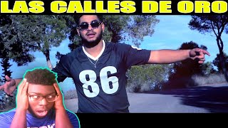 Daviles de Novelda  Las calles de oro Videoclip Oficial REACCION [upl. by Alleuqahs]