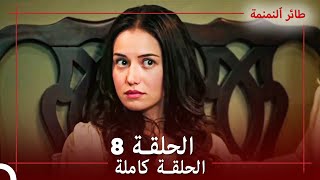 الحلقة 8  طائر النمنمة [upl. by Linzy821]