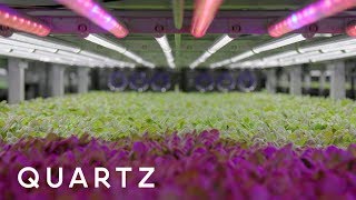 Future of Food Farming in the age of climate change [upl. by Ieluuk773]