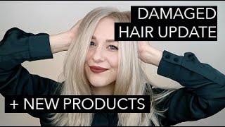 DAMAGED HAIR new product loves hair update aphogee review [upl. by Reiner]