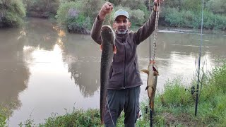 ZOR MERADA BÜYÜK BALIK AVIGREAT FISHING IN DIFFICULT PASTUREYOUTUBE KEŞFETTEYİZTRENT VİDEO [upl. by Marx581]