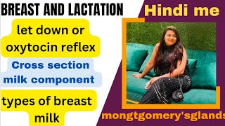 Breast and lactation cross section of lactating breast  pathophysiology properties hindi [upl. by Ailedo]