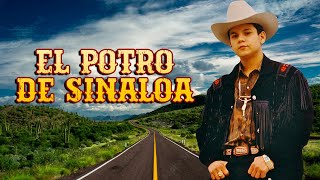 El Potro De Sinaloa  Corridos y Canciones Con Banda Album Completo [upl. by Patrizio727]