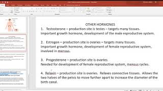 video 11 endocrine system other hormones [upl. by Schiffman]