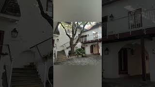 Beethoven house then and now beethoven history classicalmusic fypyoutube fypshorts fypviral [upl. by Maggio]