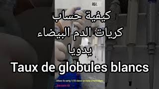 numération des globules blancs  leucocytes sur une cellules de comptage malassez ou najoet [upl. by Day264]