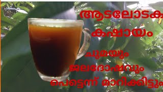 ആടലോടക കഷായം ഇങ്ങനെ ഉണ്ടാക്കി നോക്കു ചുമയും ജലദോഷവും പെട്ടെന്ന് മാറിക്കിട്ടും👍🏻👍🏻 [upl. by Ydak]