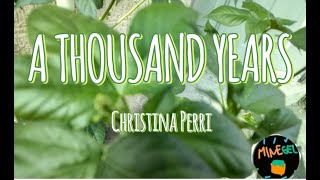 Christina Perri  A Thousand Years Letras [upl. by Parthen]