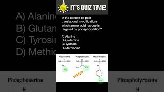 Phosphorylation of Amino acids [upl. by Dowzall]