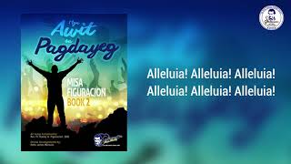 MISA FIGURACION 24 GOSPEL ACCLAMATION Alleluya [upl. by Raual468]