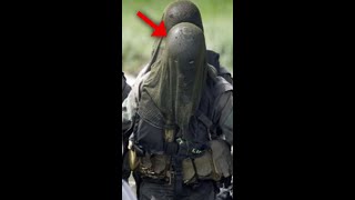 Why Do Danish Frogmen Wear This Veil Shorts [upl. by Streeter]