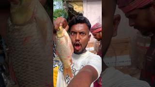 bapre itna bara machli 🐠😱 minivlog vlog vlogging shorts dailyvlog fish vlogger [upl. by Ivzt619]