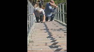 Scariest staircases in my life at the peak Oknyeobong Korea [upl. by Hadnama597]