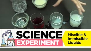 Experiment on Miscible and immiscible liquids  Science Experiment 1  Easy Chemistry Experiments [upl. by Latsyrhk517]