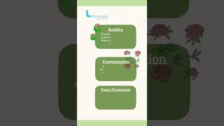 Sexual Reproduction in Flowering Plants biology thelearnyn shorts [upl. by Merna]