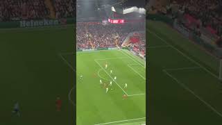 Liverpool vs Bayer Leverkusen 40  All Goals amp Highlights  UEFA Champions League 202425 [upl. by Euginomod]