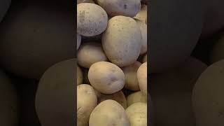 Disa bataka 1kg Rs 60 🥔🥔 [upl. by Kcirad169]