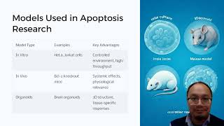 Apoptosis Explained The Science of Programmed Cell Death [upl. by Dulla518]