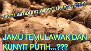 Cara Membuat Jamu Temulawak Kunyit Putih [upl. by Emilia]