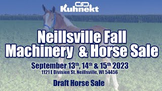 2023 Neillsville Fall Machinery amp Horse Sale  Draft Horse Sale [upl. by Layap]