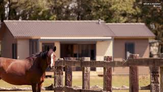 LE HARAS DES BRÛLONS  Morbihan 56 [upl. by Yeslehc604]