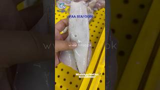 Loligo Squid  HIFAA SEAFOODS  PAKISTAN  CleanSquid SquidTube TNT SquidRings hifaa Sea [upl. by Onit]