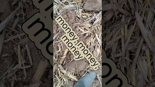 monnaie Lindauer monnaie detectiondemetaux metaldetecting xpdeusmetaldetector deus2 xpdeusii [upl. by Nisotawulo468]