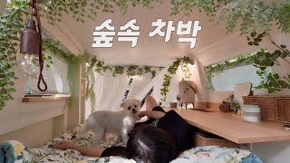 🚌세상에 하나뿐인 캠핑카에서 강아지와 단둘이 가을 차박 즐기기  묵은지 삼겹살  솔로 캠핑  스타렉스 자작 캠핑카  전라남도 보성 하느제 캠핑장 [upl. by Otes]