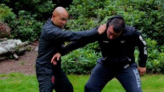 Difference between tai chi and wing chun [upl. by Aprilette]