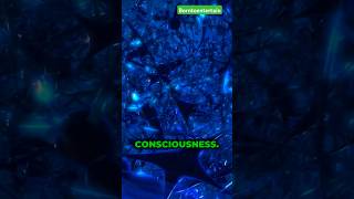 Consciousness💀🔗 shorts consciousness physics quantumphysics neuroscience youtubeshorts neuro [upl. by Ecirpak]