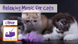 1 hour of Relaxing Music for Cats  Soothe your Cat with Music [upl. by Chun]