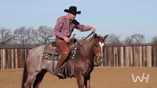 Bit Basics with Richard Winters The Loping Hackamore [upl. by Davidson]