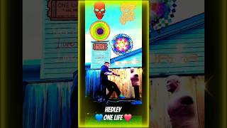 🌟👊🎵One Life🎶👊🌟music hedley onelife selfdefense selfdiscipline greatsong selfcontrol jjrc [upl. by Annaigroeg]