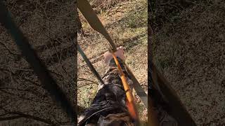 Shwingshortvideos reels viralvideos archery shoot subscribe practice smallgame viralvideo [upl. by Alister687]