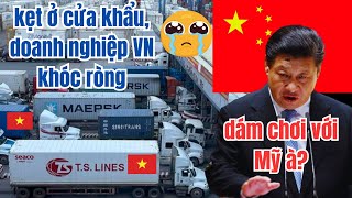 TQ Trả Đũa VN Vì Chơi Với Mỹ Hàng Loạt Container Hoa Quả VN Bị Cấm Xuất Sang TQ [upl. by Lletnahc824]